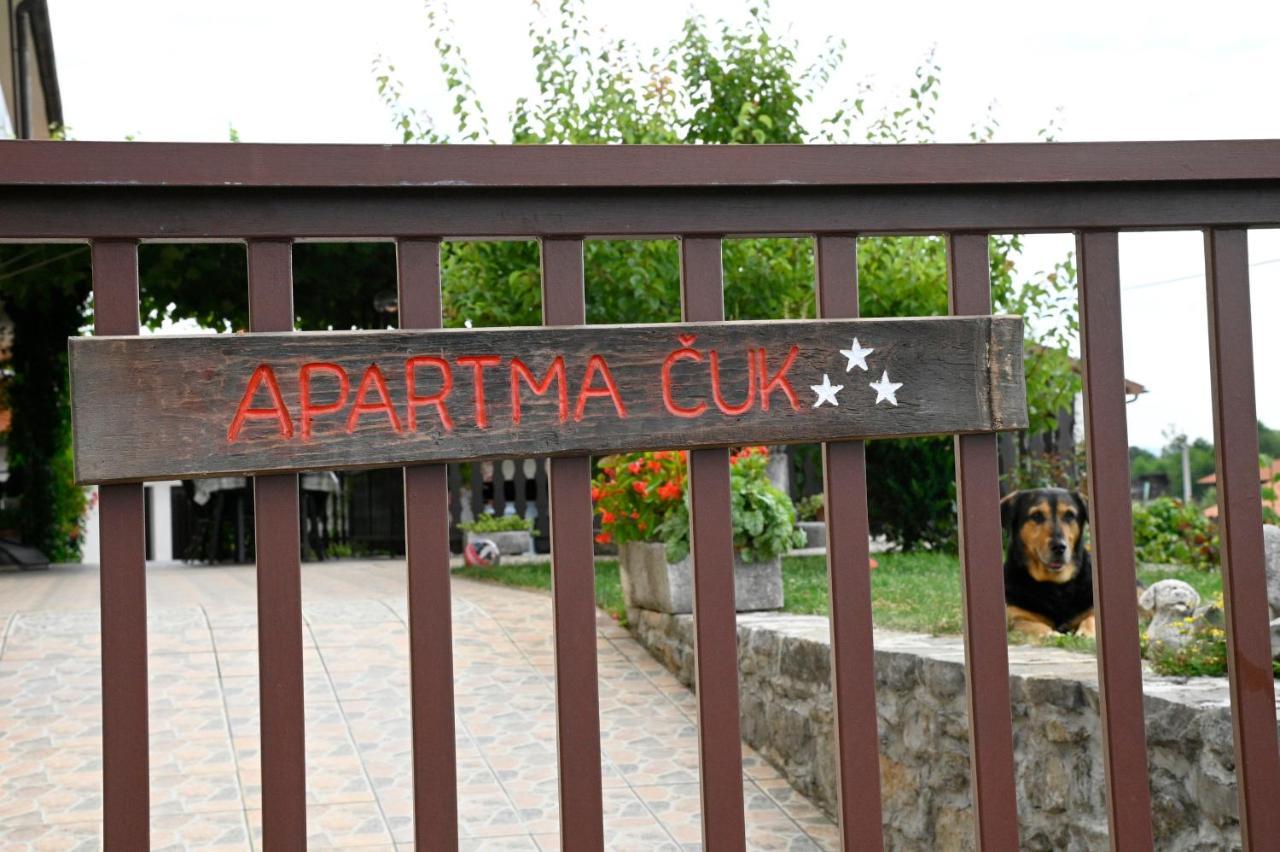 Apartma Cuk Dutovlje Kültér fotó